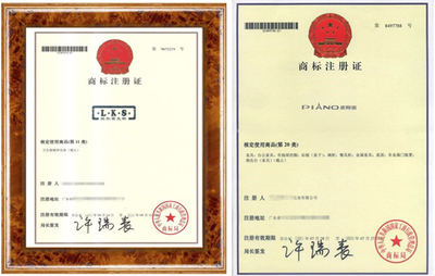 知識(shí)產(chǎn)權(quán)申報(bào)詳解與專業(yè)服務(wù)