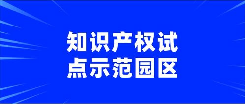2020年上海市知識產權試點示范園區知識產權服務申報通知